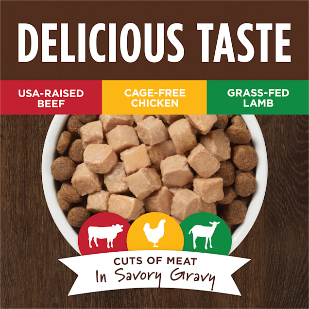 Wet dry dog food top