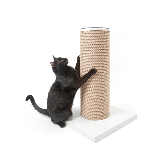 Hauspanther cat furniture online