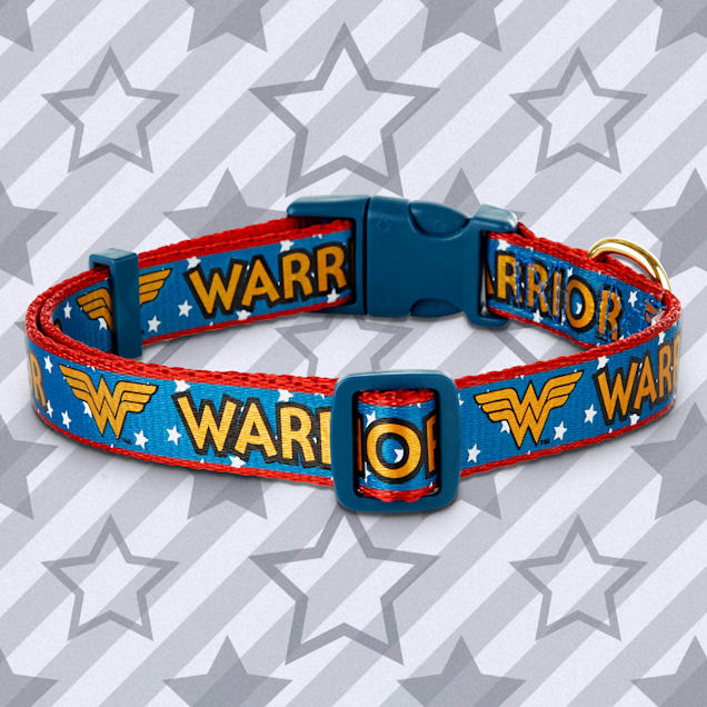 Dc comics dog collar Clearance