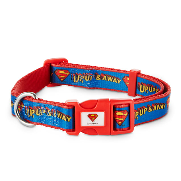 Dc comics dog collar Clearance