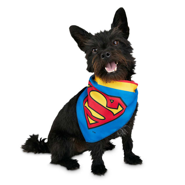 Dc Comics Justice League Superman Dog Bandana Small Medium Petco