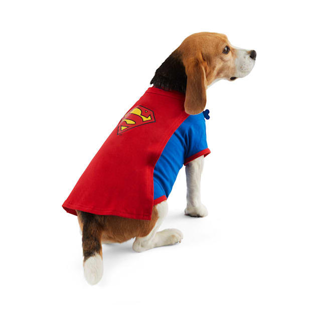 Superman dog shirt