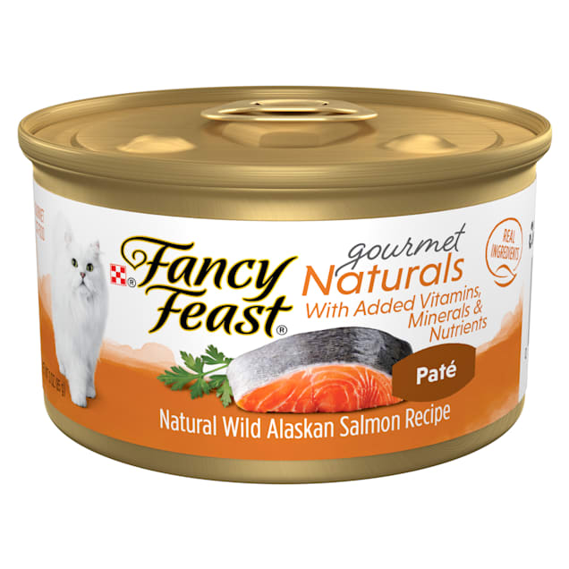 Salmon cat top food wet