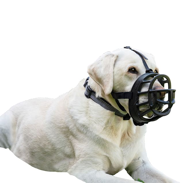 Baskerville Ultra Black Muzzle for Dogs, Size 5