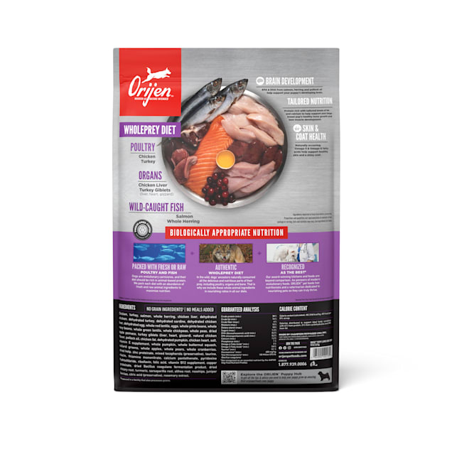 ORIJEN Grain Free Large, High Protein, Fresh & Raw Animal Ingredients Dry Puppy Food, 13 lbs. | Petco