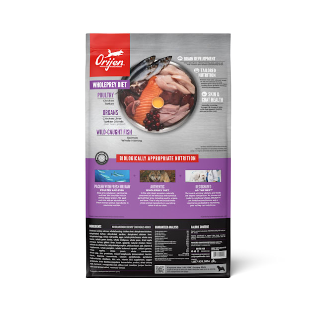 Orijen large puppy hotsell food feeding guide