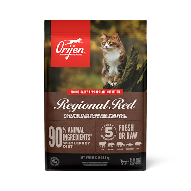 ORIJEN Grain Free Regional Red Premium High Protein Fresh Raw Animal Ingredients Dry Cat Food 12 lbs