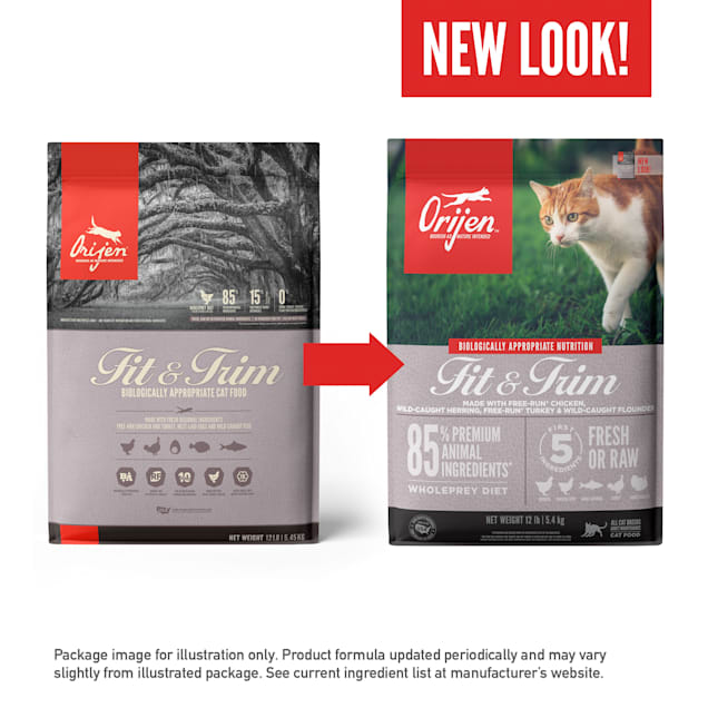 Orijen cat food 12 lb 2025