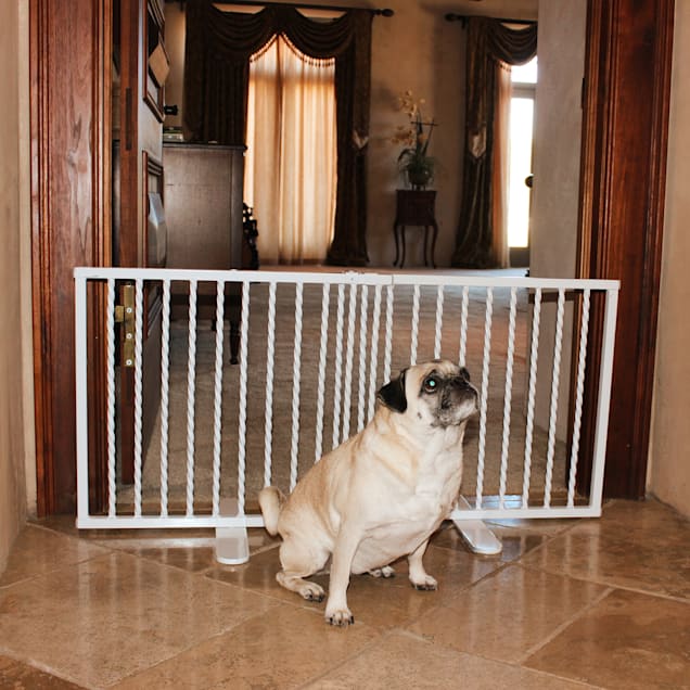 Cardinal Gates Wrought Iron Step Over White Gate for Dogs, 41.5" L X 2" W X 20" H - Carousel image #1