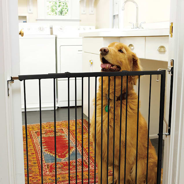 Petco pet gate discount