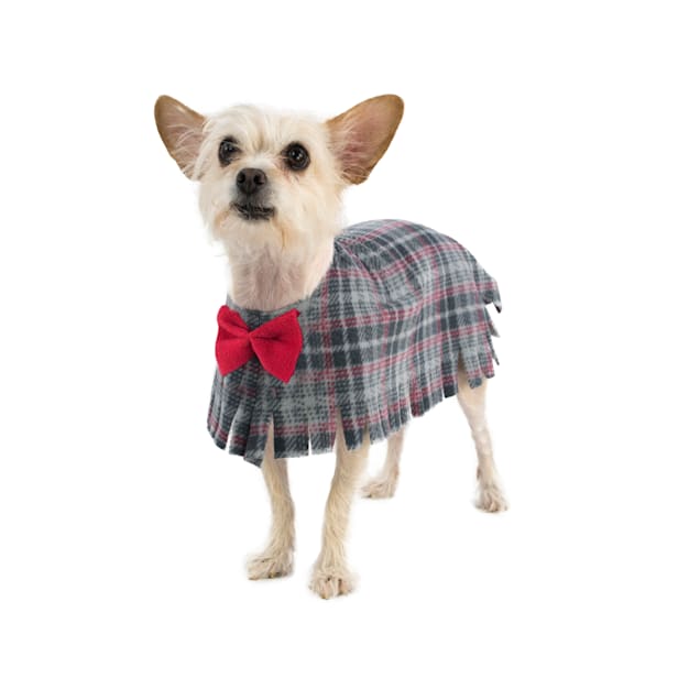 Dog o bow online