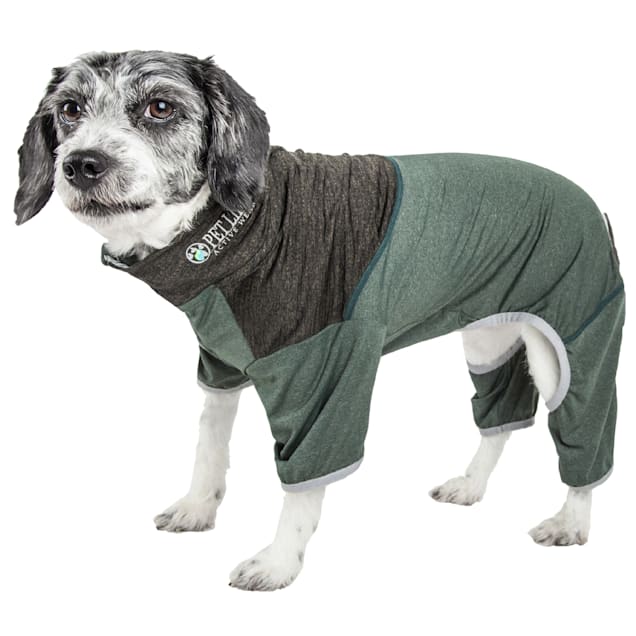Petco coats best sale