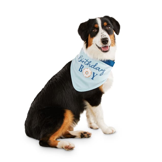 Petco birthday bandana clearance