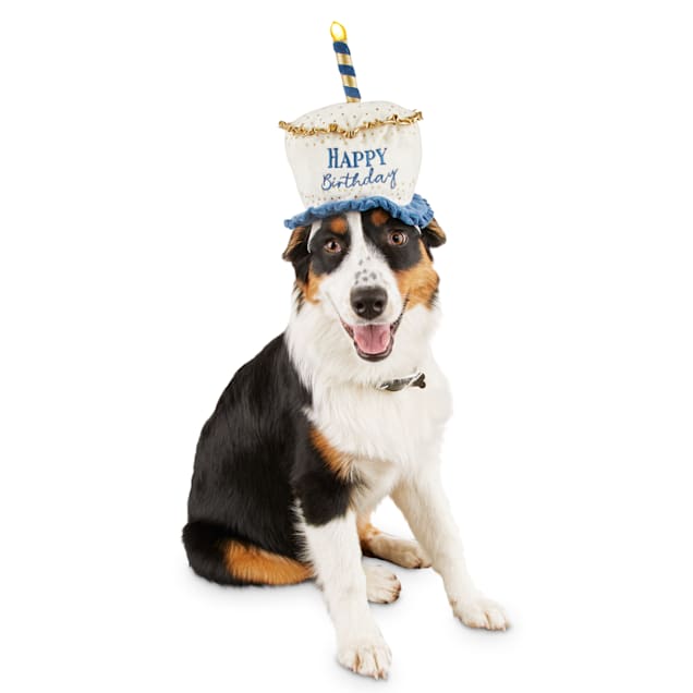 Bond & Co. Light Up Birthday Dog Hat, Small/Medium - Carousel image #1