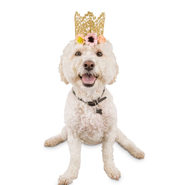 Details about  / Pet Girl Dog Birthday Crown Hat Bowknot Collar Tutu Skirt Party Supplies
