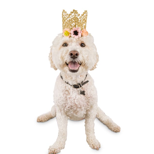 Details about / Pet Girl Dog Birthday Crown Hat Bowknot Collar Tutu Skirt Party Supplies