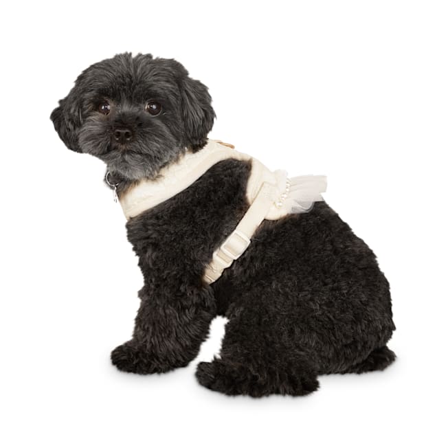 petco
