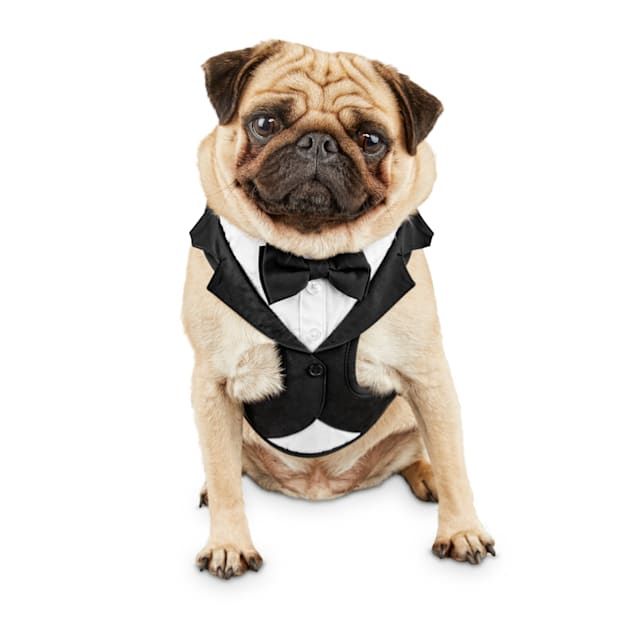Dog Attire Dog Harness Dog Tie Dog suit Wedding Dog Harness Gray  Dog Adjustable  Harness with Tie Formal Dog Tuxedo