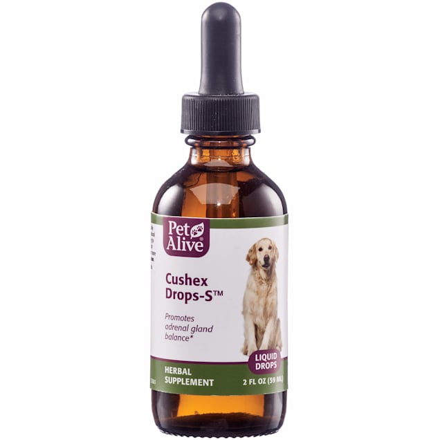  Natural Herbal Supplement, Pet antibiotic