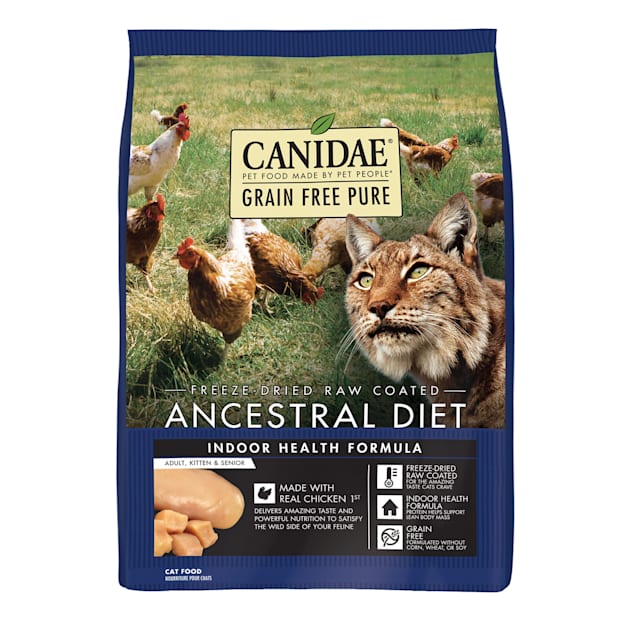 Raw Coated Indoor Chicken Dry Cat Food