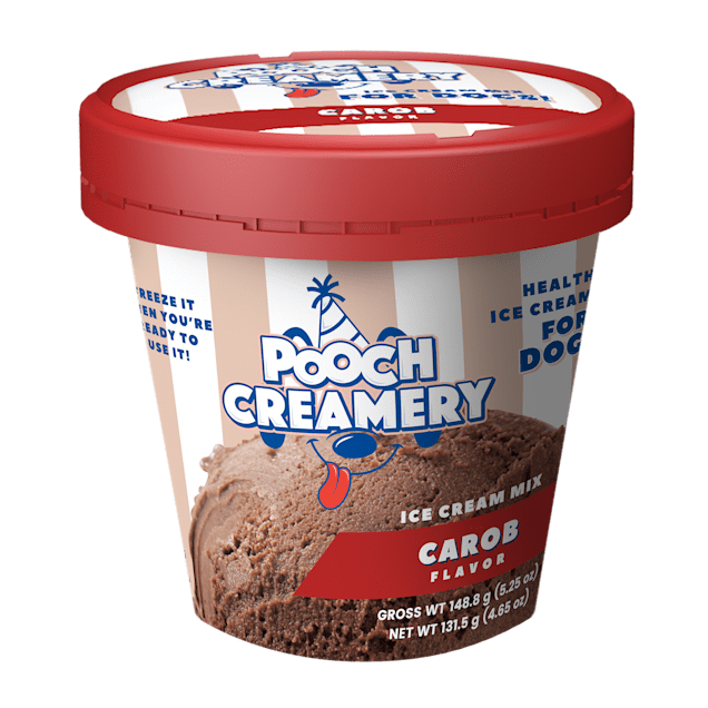 Can dogs eat shop chocolate ice cream