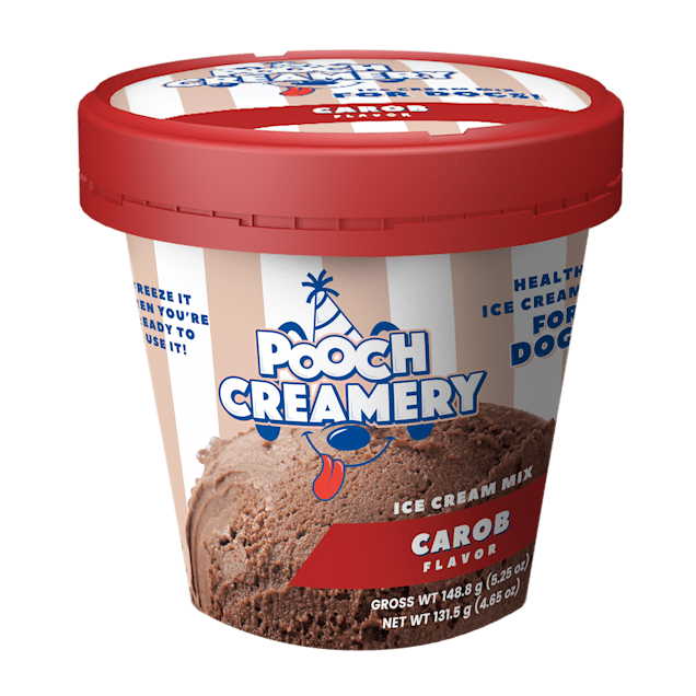 3 Surprising Benefits To Eating Ice Cream You Didn't Know About - Frozen  Dessert Supplies