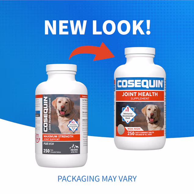 NUTRAMAX COSEQUIN Joint Health Supplement Plus MSM for Dogs, 250