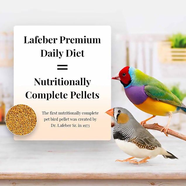 Petco finches hot sale
