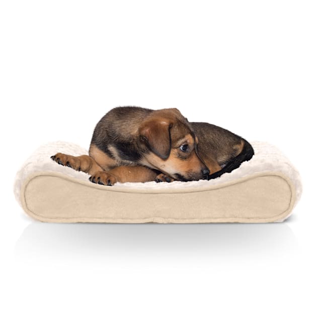 furhaven luxe lounger