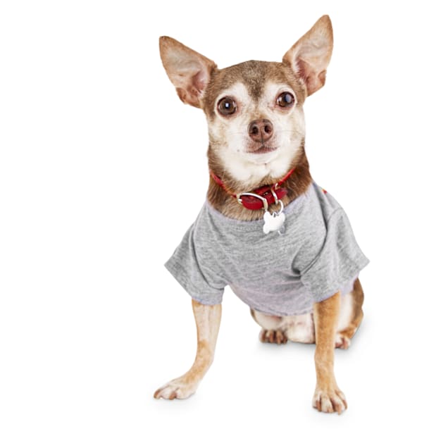 dog pride shirt