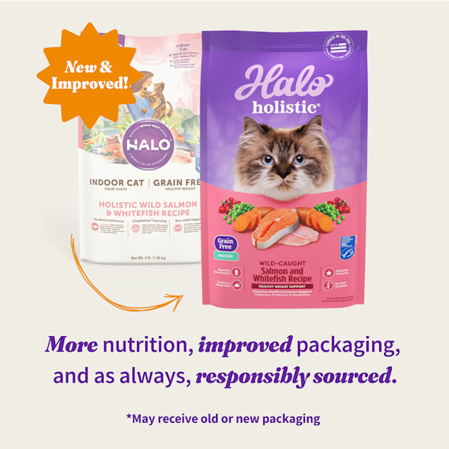 Halo Holistic Complete Digestive Health Indoor Grain Free Wild caught Salmon Whitefish Recipe Adult Dry Cat Food 10 lbs