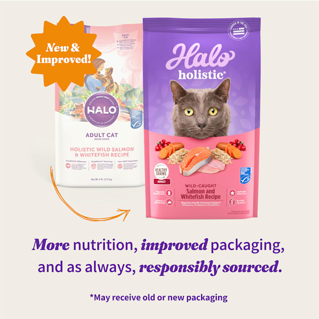 Halo Holistic Salmon Whitefish Digestive Health Cat Food 10 lbs
