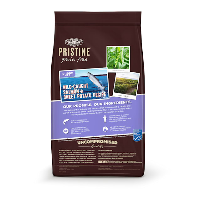 Castor and pollux sale dry dog food