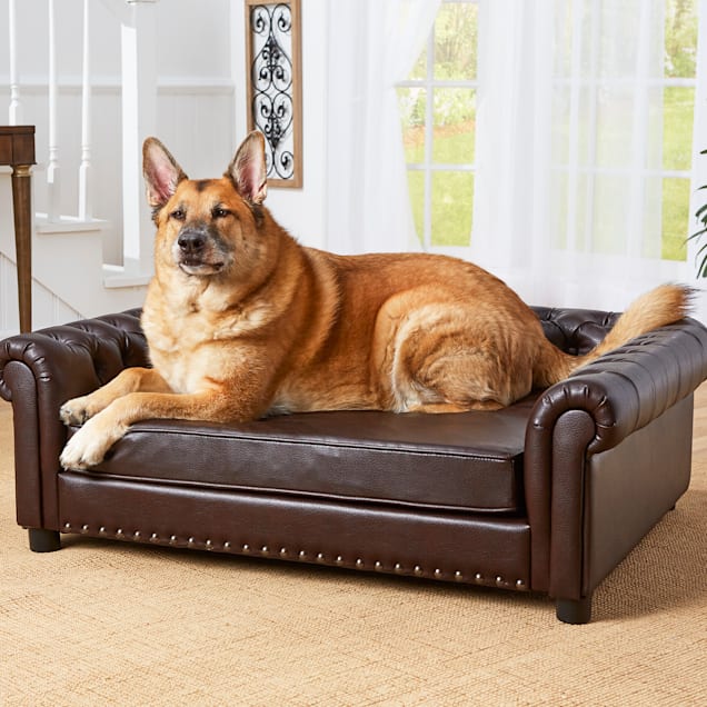 Dogs and leather deals sofas