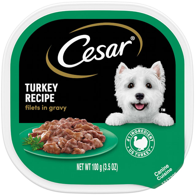 Cesar Filets in Gravy Turkey Recipe Wet Dog Food 3.5 oz. Case of 24 Petco