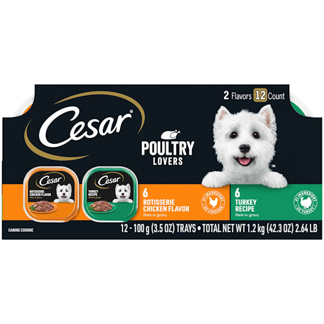 Cesar Filets in Gravy Poultry Lovers Variety Pack Wet Dog Food, 3.5 oz., Count of 12 - Carousel image #1