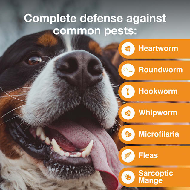 Advantage Multi Topical Solution for Dogs 88.1 to 110 lbs 6 Month