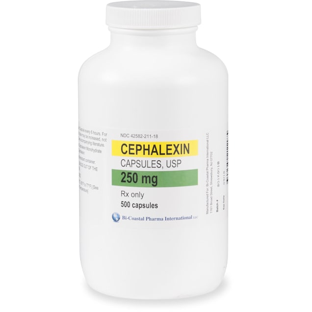 cephalexin for dogs uti