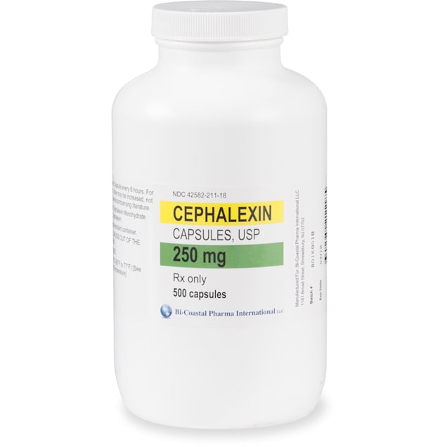 are cephalexin and amoxicillin the same