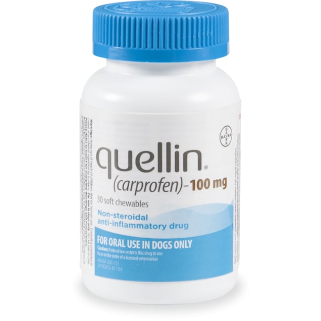 quellin-carprofen-soft-chewable-tablets-100-mg-30-count-petco