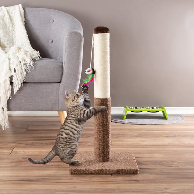 Used cat scratching post for sale sale
