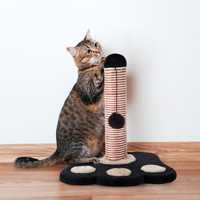 Cat scratch post string hot sale
