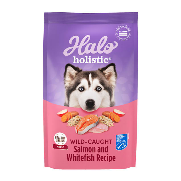 Salmon dog food discount petco