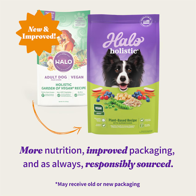 Vegan dog food near me shop