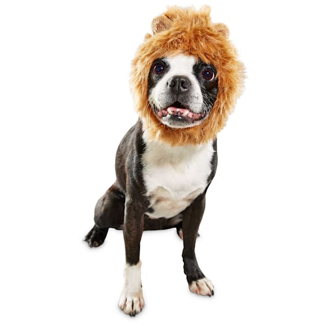 Bootique Mane Reign Lion Pet Headpiece, Small/Medium - Carousel image #1