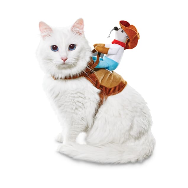 Petco cat hat clearance
