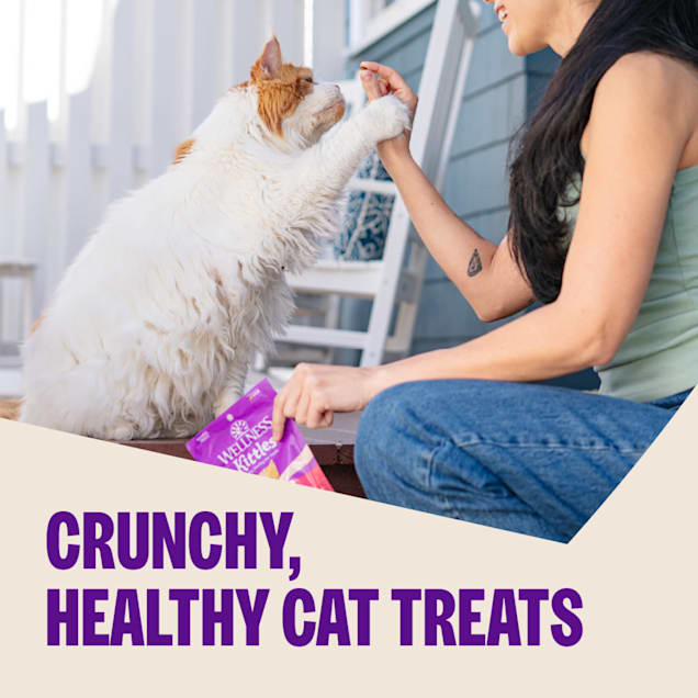 Wellness Kittles Natural Grain Free Salmon & Cranberries Cat