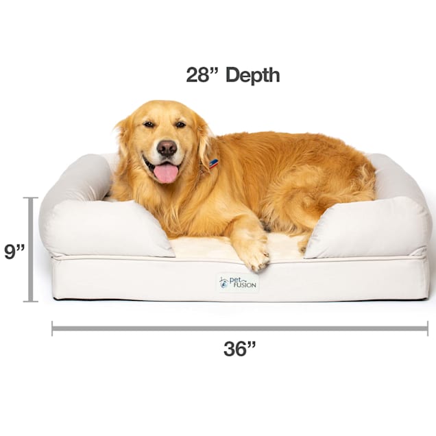 Petfusion memory foam hotsell dog bed large