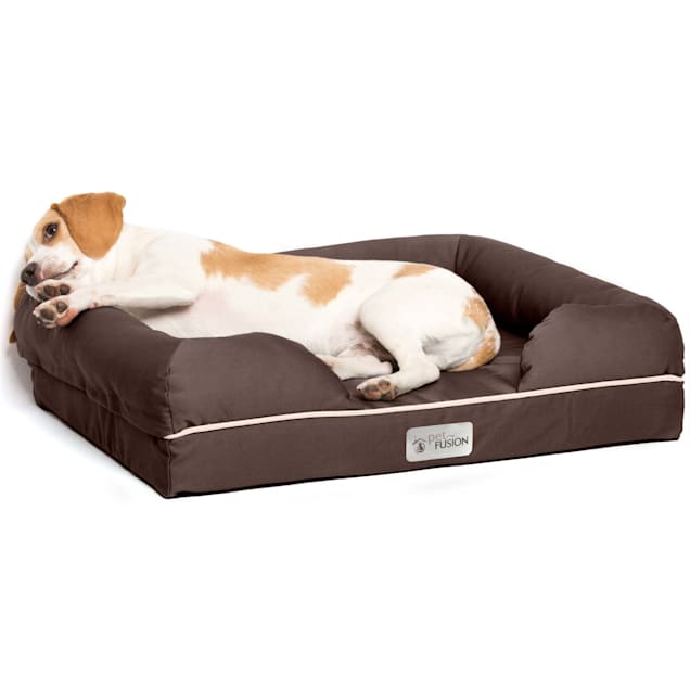 PetFusion Ultimate Orthopedic Memory Foam Brown Dog Bed Lounge 25 L X 20 W Petco