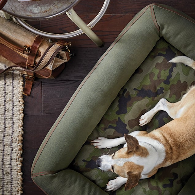 Reddy Indoor Outdoor Camo Dog Bed 32 L X 24 W Petco